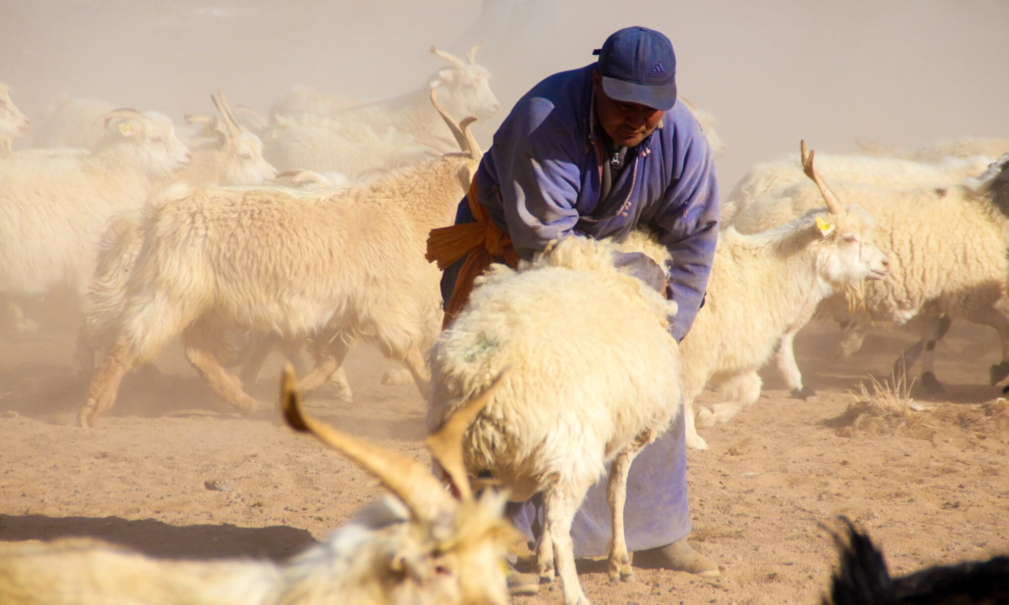 Uurga Voyage en Mongolie avec Guide-accompagnateur - Uurga Mongolie